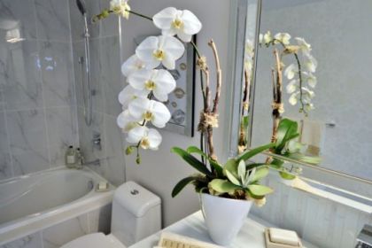 home-renovation-north-van-home-awaits-styled-50