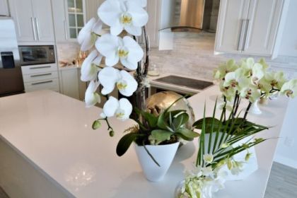 home-renovation-north-van-home-awaits-styled-65