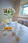 kitchen-renovation-north-van-golden-styled-08