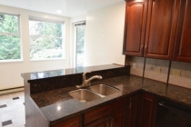 kitchen-renovation-north-van-green-before-03