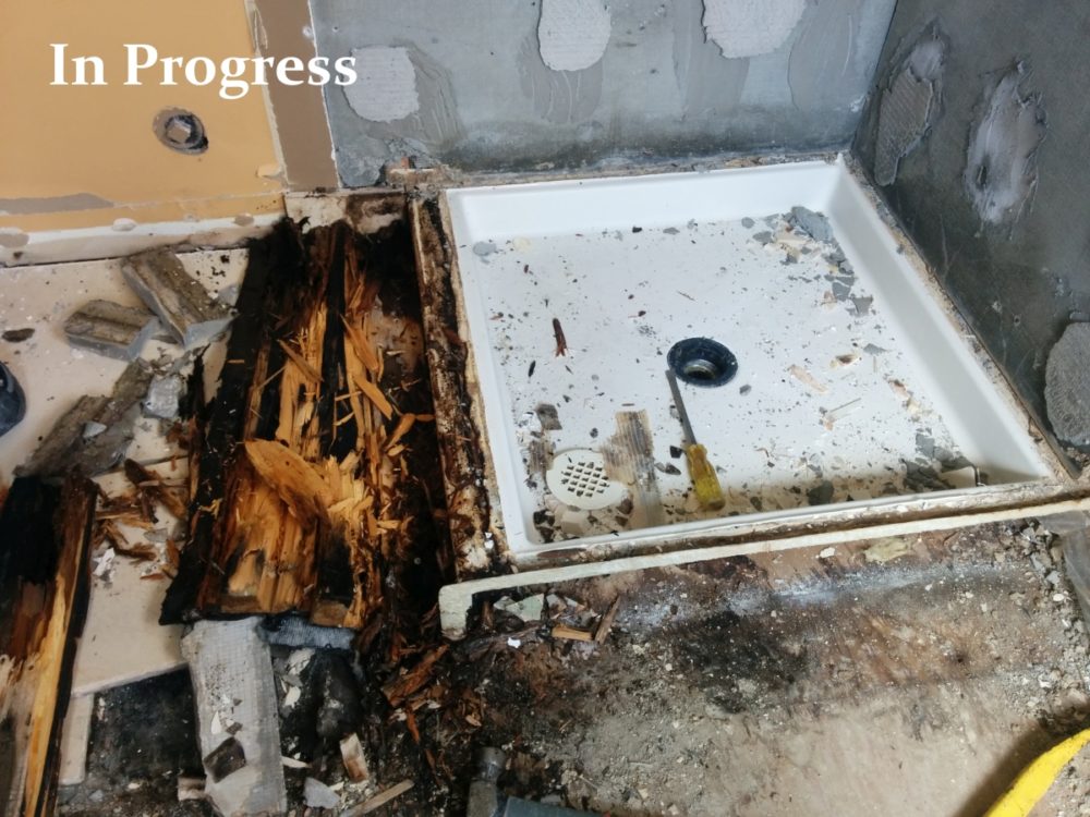 Reasons to renovate #2 - fix extensive mould damage